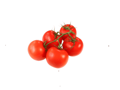cherry paradajz prodaja Beograd